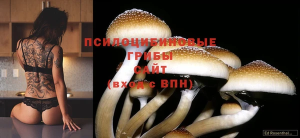 метамфетамин Алзамай