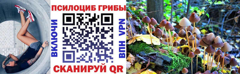 магазин продажи наркотиков  Приволжский  Псилоцибиновые грибы мицелий 