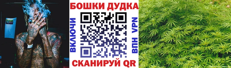 omg ONION  Приволжский  Конопля гибрид 